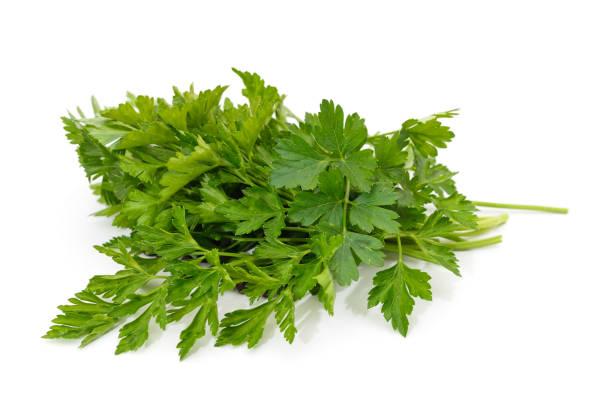 istock Bunch of green parsley. 1354268333