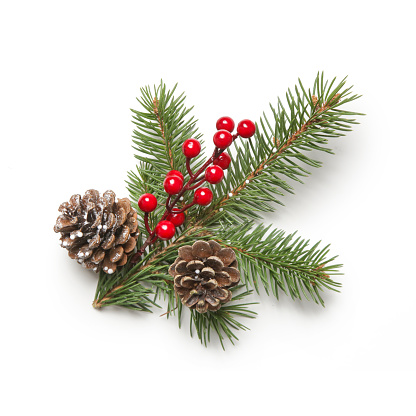 Christmas decoration element isolated on white. DIY festive, natural, zero waste, plastic free winter holidays decor made of fir branches, pine cones and red berries.