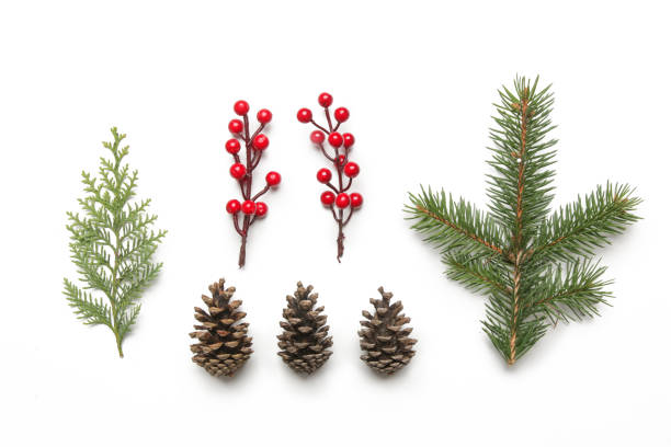 istock Christmas decoration design elements isolated on white background. Christmas, winter holiday, new year concept. 1354269751
