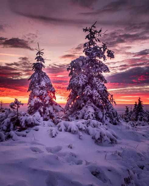 istock Winter lanscape in a snowy mountains, still life 1354280481