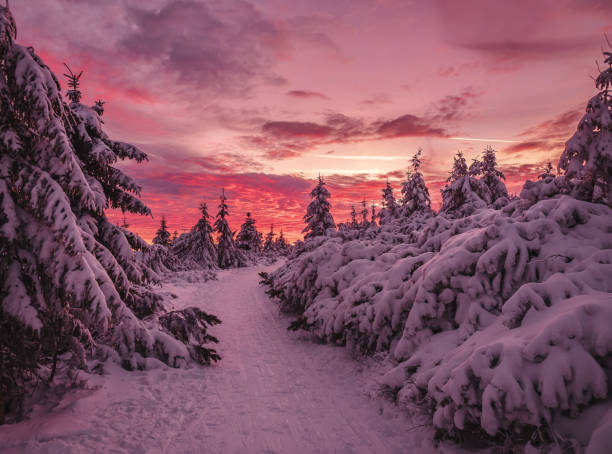 istock Winter lanscape in a snowy mountains, still life 1354280549