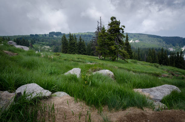 istock Dangerous clouds hang over Vitosha mountain 1354281579