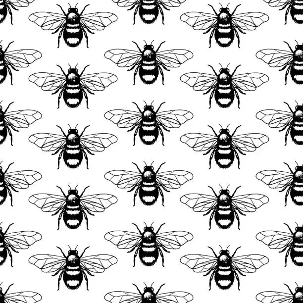 Vector illustration of Hand Drawn Honey Bees Seamless Pattern