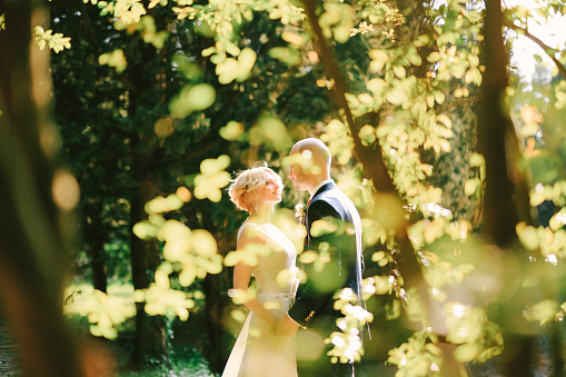 Groom in a black suit holds the hands of bride in a white dress in a green park. View through the leaves. High quality photo