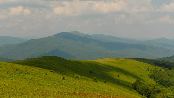 istock Green mountain hills, Bieszczady Mountains, Poland 1354285493