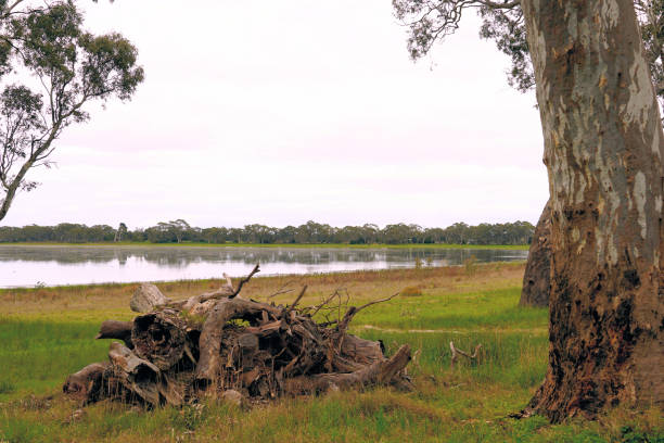 istock Edenhope,  Wimmera, Victoria, Australia 1354287161
