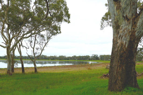 istock Edenhope,  Wimmera, Victoria, Australia 1354287207