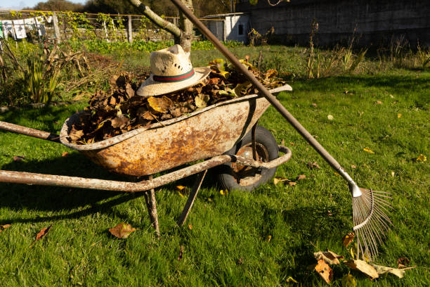 istock wheelbarrow full of dried leaves 1354287281