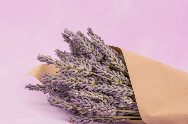 istock Dry lavender bunch on a white background 1354287418