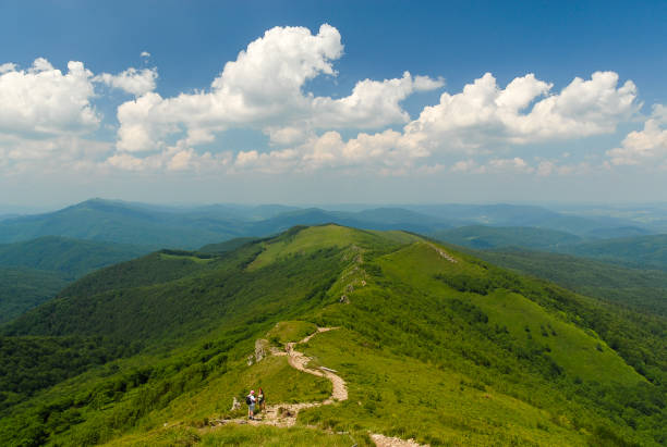 Green mountain hills against a blue sky on a sunny summer day, Bieszczady Mountains, Poland
