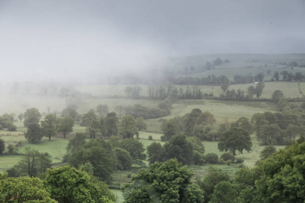 istock Summer. Fog. Hills 1354290333