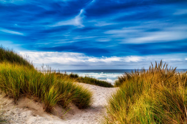 plage, dunes et nuages - oregon beach photos et images de collection