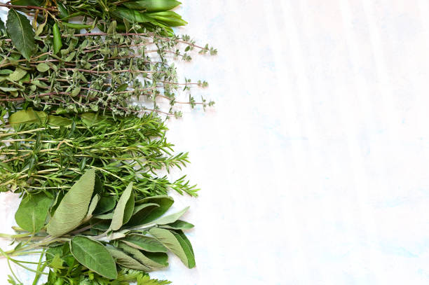 istock Flat lay composition with fresh green herbs. Fresh herbs collection 1354296924