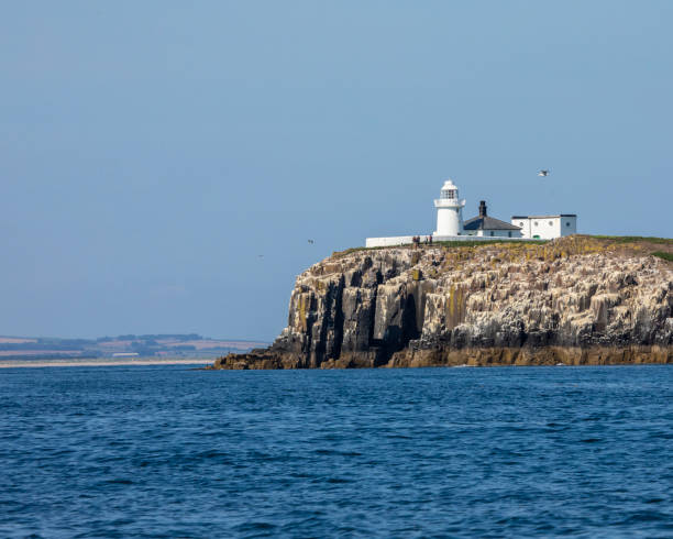 istock Inner Farne Lighthouse on Inner Farne in Northumberland, UK 1354297075