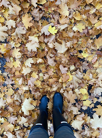 Image of a person's feet in a path of autumn leaves