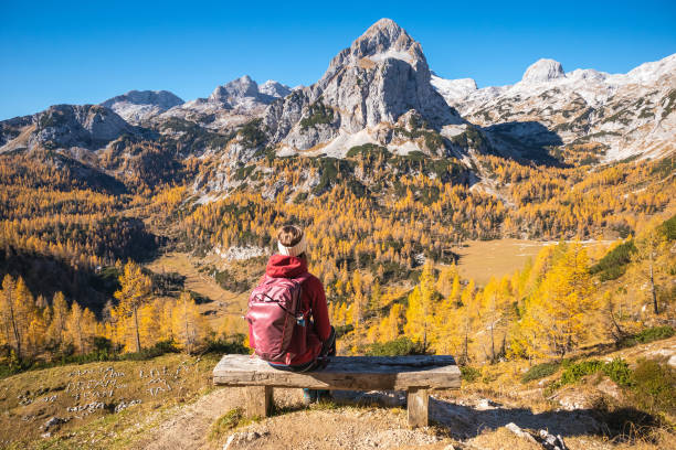 istock Female hikers on a bench in mountains 1354310357
