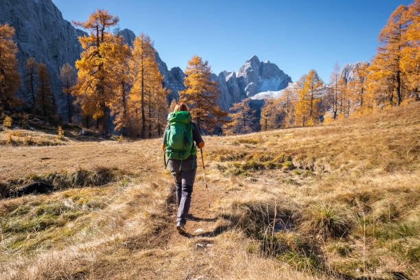 istock Woman in the mountains 1354310409