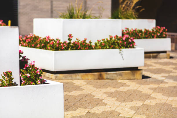 istock White Cubes Courtyard with Flower Planters Backgrounds Photo Series 1354310478