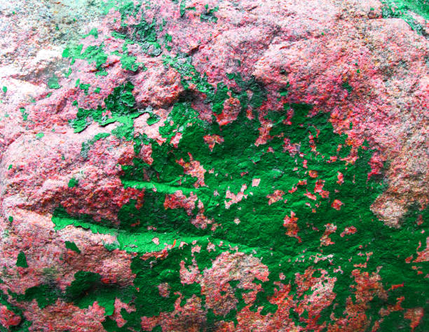 istock Old painted granite stone rock background. Brown, green, pink. red 1354311250