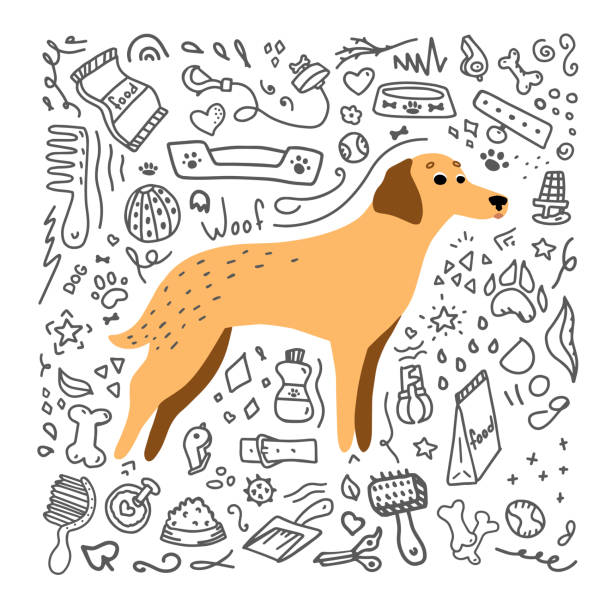 handgezeichnete illustration eines labradors mit hundeelementen - grooming stock-grafiken, -clipart, -cartoons und -symbole