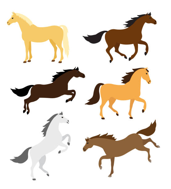 Vector set of different color flat cartoon horse poses Vector set of different color flat cartoon horse poses isolated on white background horse color stock illustrations