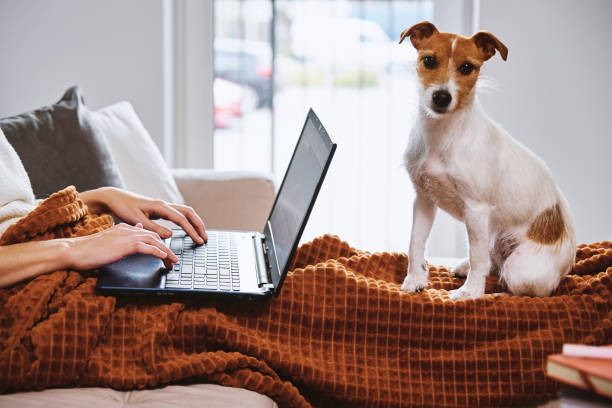 istock Woman working at home with her dog 1354324182