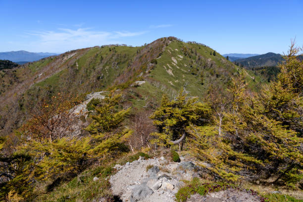 istock Mount Goshiki in the autumn 1354326181