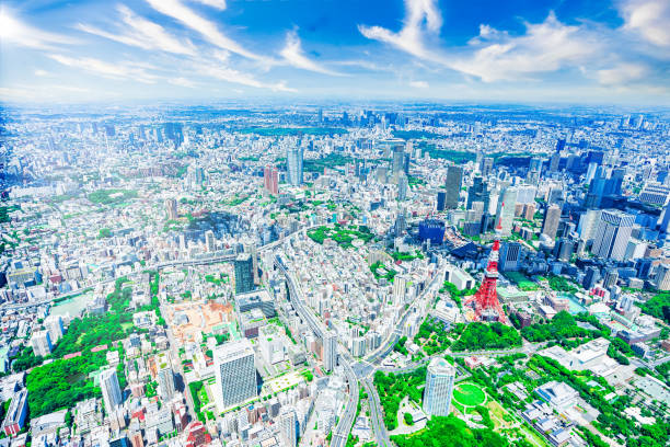 istock Aerial view of downtown Tokyo 1354326440