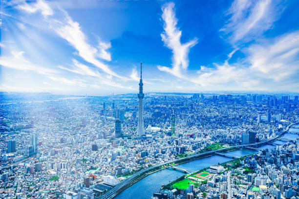 istock Aerial view of downtown Tokyo 1354326458