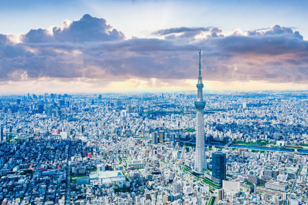 istock Aerial view of downtown Tokyo 1354326461