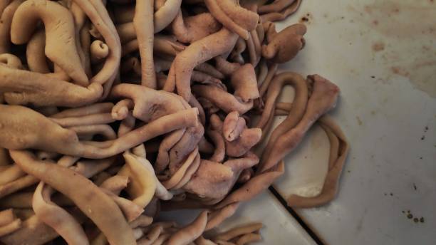 istock Fresh chicken intestines ready to be sold in traditional markets 1354329963