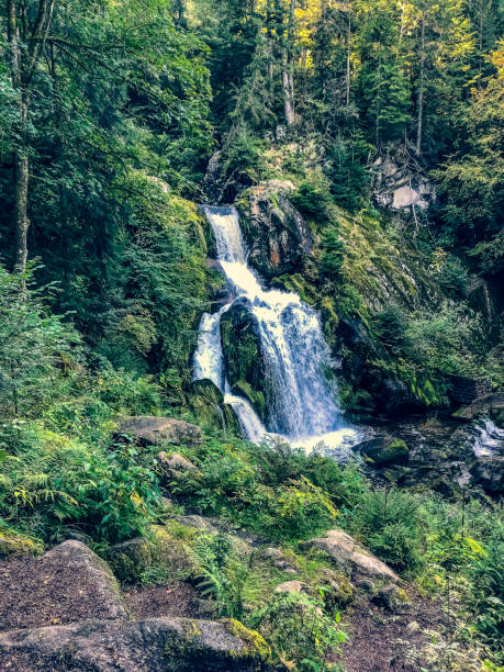 istock A small stony river with waterfalls in the Black Forest. 1354335618