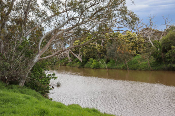 istock werribee river landscape with stormy sky 1354336851