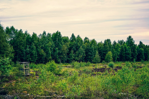 A field at a bog in dramatic and cloudy skies.