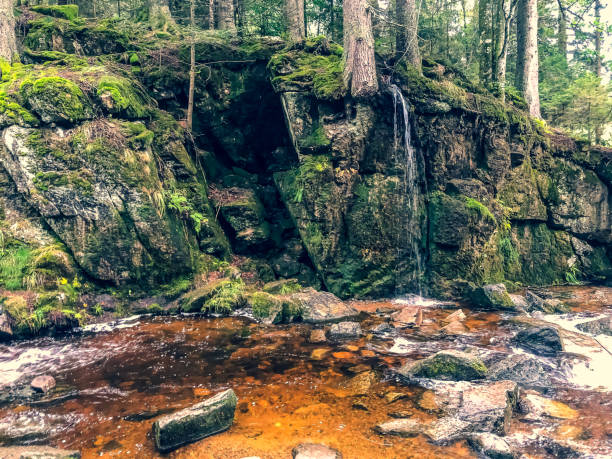 istock A river with waterfalls through the Black Forest. 1354346203