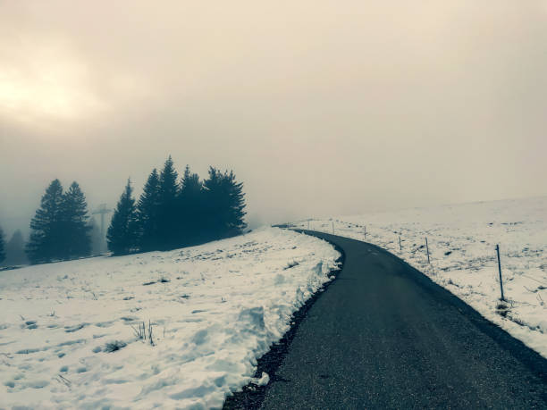 눈 속에서 검은 숲의 산에 경로. - cross country skiing black forest germany winter 뉴스 사진 이미지