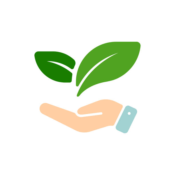 ecology ( sprout, plant ) vector icon illustration - 地球 stock illustrations