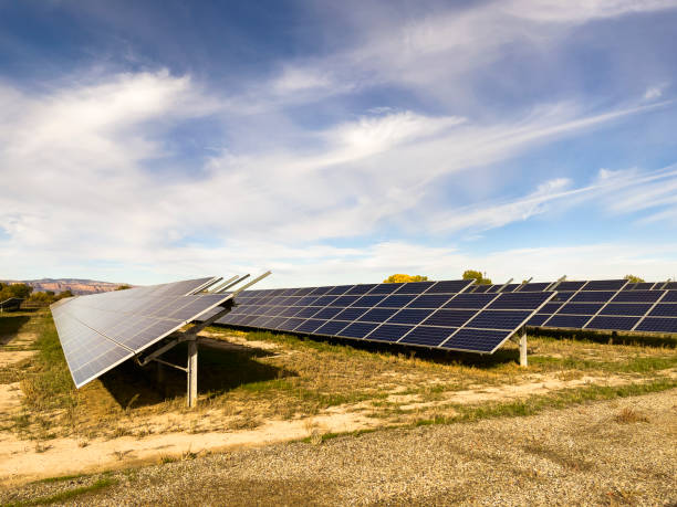 istock Sustainable Energy Source Geometric Pattern from Above Solar Panel Field Green Energy Photo Series 1354350490
