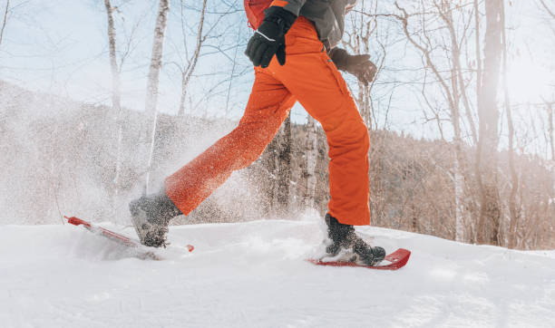 Snowshoeing people in winter forest mountain in snow. Man on hike in snow hiking in snowshoes living healthy active outdoor lifestyle in winter on snowy day. Legs and snowshoe closeup. stock photo