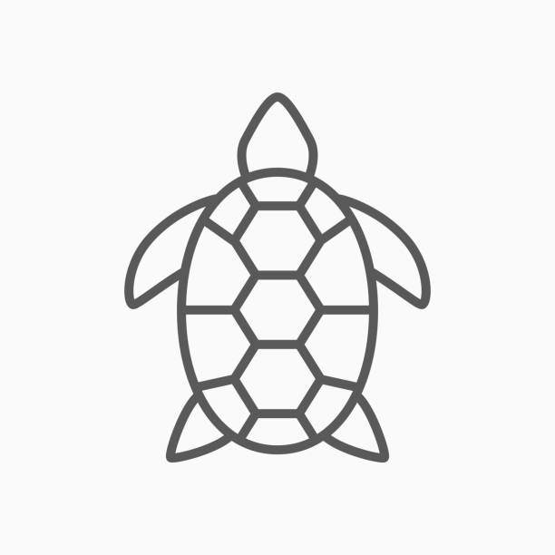 Background Of Turtle Outline Tattoo Illustrations, Royalty-Free Vector  Graphics & Clip Art - iStock