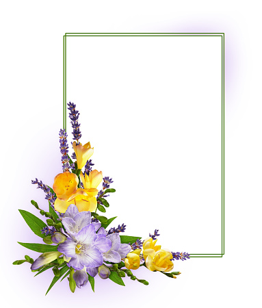 Purple and yellow freesia flowers in a corner floral arrangement with empty card on white background