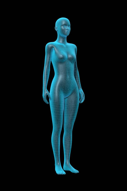 istock Woman, Human Female Body, 3D 1354365675