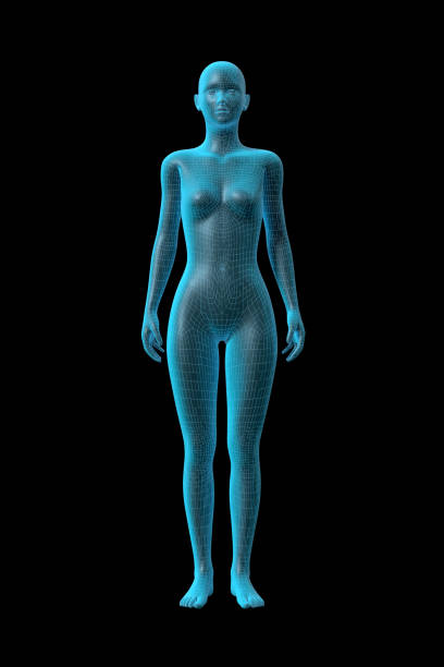 istock Woman, Human Female Body, 3D 1354365676