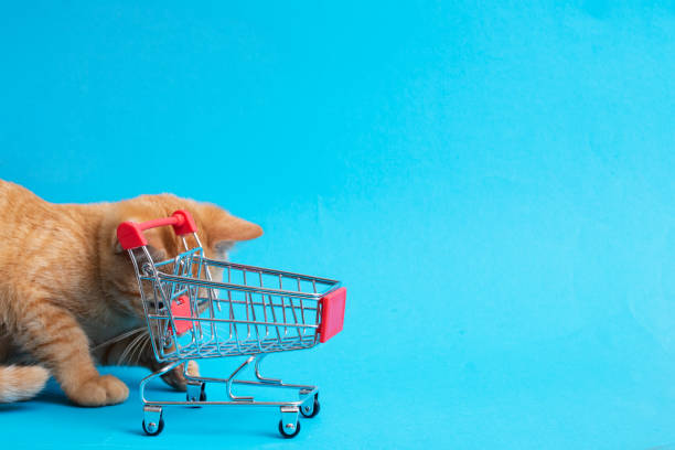 istock Ginger kitten and shopping cart on blue background 1354367496