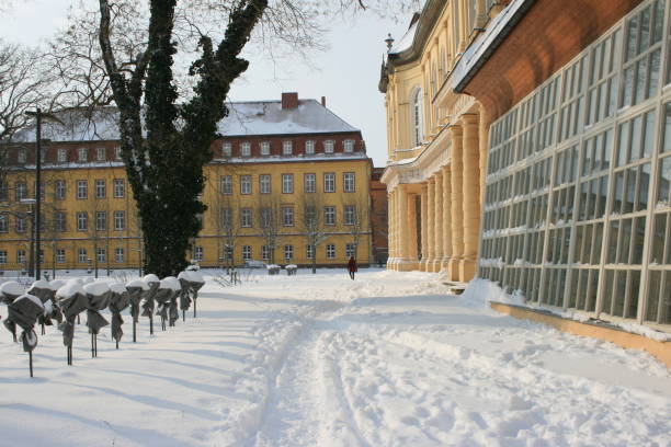 istock white snow in the city park 1354369171