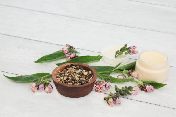 istock Comfrey Healing Herb for Skin Treatments 1354369853