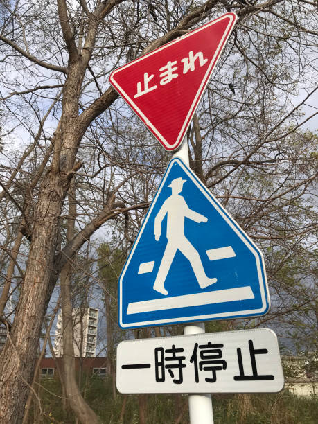 istock Japanese road sign (stop, crosswalk) 1354371859