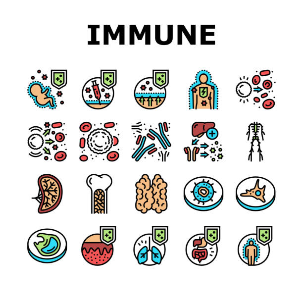 면역 계통 질병 및 치료 아이콘 세트 벡터 - macrophage human immune system cell biology stock illustrations
