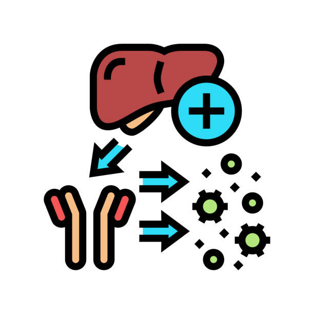 ilustrações de stock, clip art, desenhos animados e ícones de complement system color icon vector illustration - macrophage human immune system cell biology