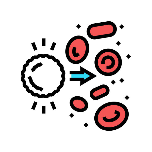 ilustrações de stock, clip art, desenhos animados e ícones de autoimmunity blood color icon vector illustration - macrophage human immune system cell biology